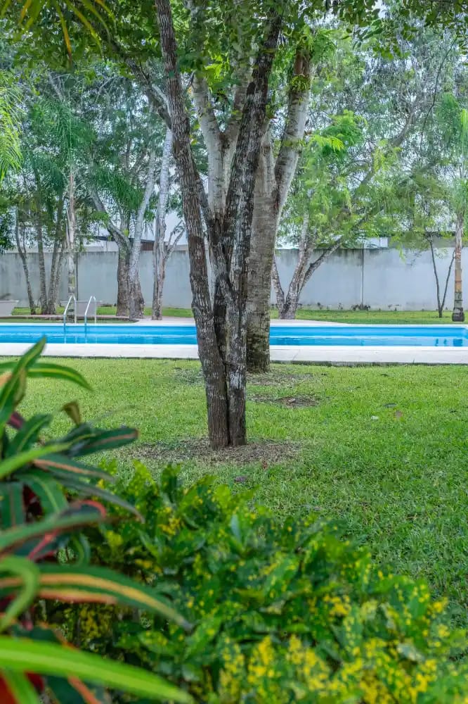 Amenidades JArdines del Sur Alberca