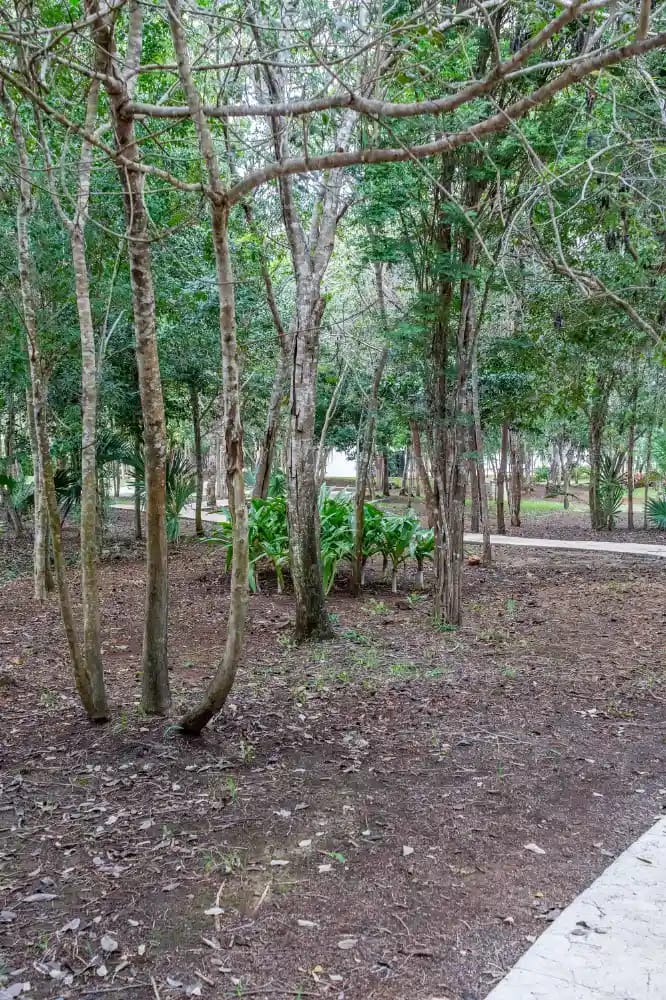 Amenidades JArdines del Sur Areas Verdes