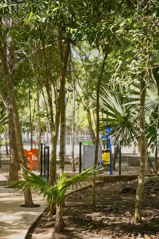 entrada del pet park