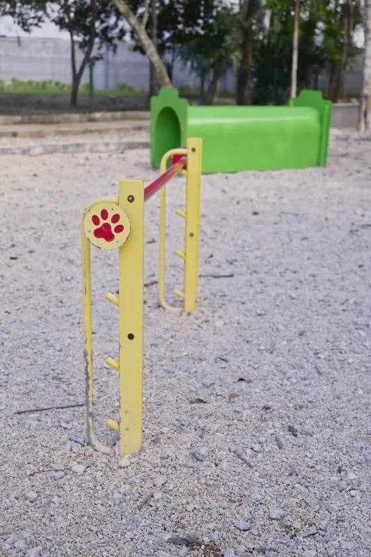 juguetes del pet park
